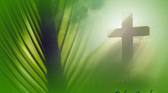 Palm Sunday - Mass Live Stream Facebook